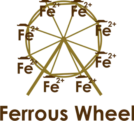 Nadruk Ferrous Wheel - Przód