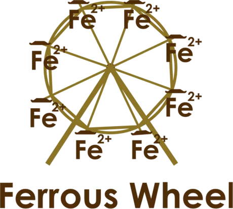 Nadruk Ferrous Wheel - Przód