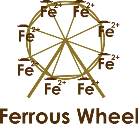 Nadruk Ferrous Wheel - Przód