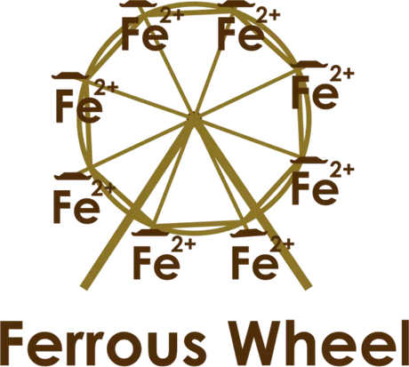 Nadruk Ferrous Wheel - Przód
